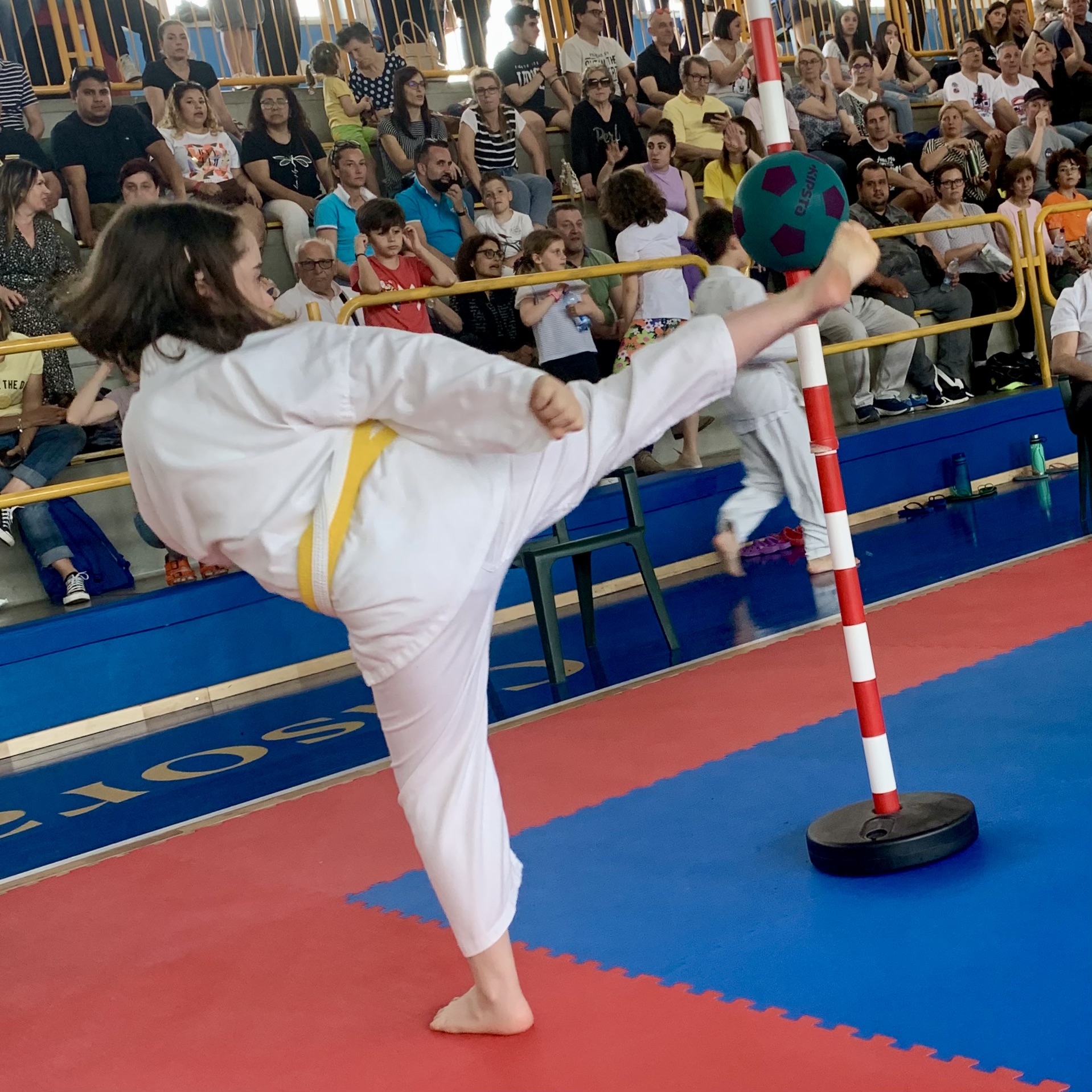 5^ Tappa 12° Campionato di Karate dell’Insubria